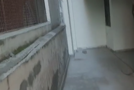 2BHK Flat for Rent in Gujar Ki Thadi Jaipur-Gurjar Ki Thadi-Jaipur