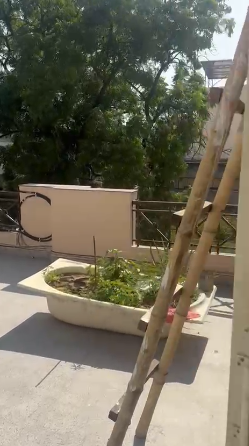 Flat for Rent in Tonk Road Jaipur Family Only-Tonk Road-Jaipur