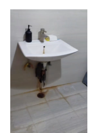 2 BHK Furnished Flat for Rent Near Vivek Vihar Metro Station-Shyam Nagar-Jaipur