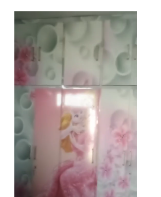 2 BHK Furnished Flat for Rent in Pratap Nagar Jaipur-Pratap Nagar-Jaipur